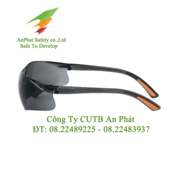 Kính Bảo Hộ 819