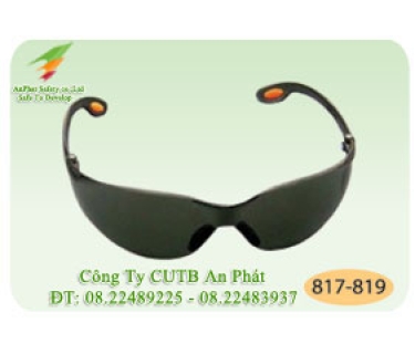 Kính Bảo Hộ 817