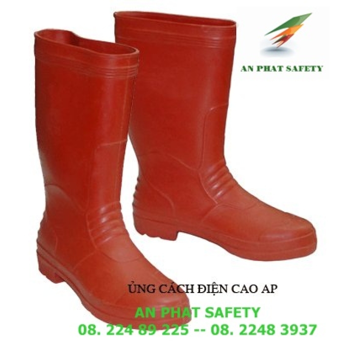 Ủng Cách Điện Việt Nam