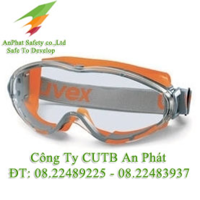 Kính Bảo Hộ Uvex 9302-245 